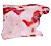<p>Surface of the whole shoulder</p><p>Sausage </p><p>Chorizo</p><p>oil</p>