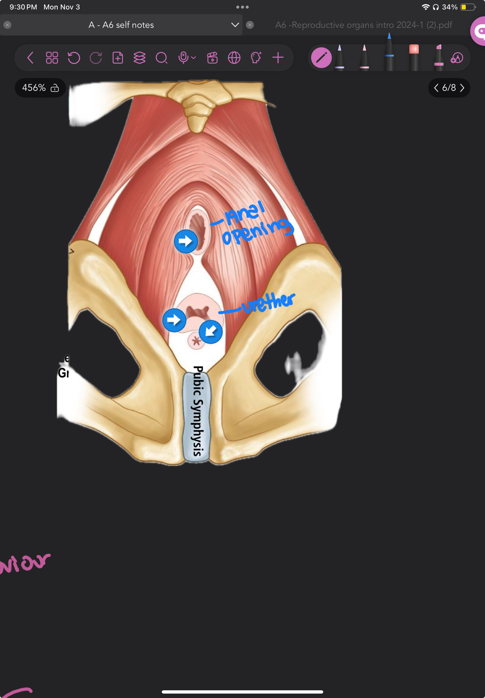 knowt flashcard image