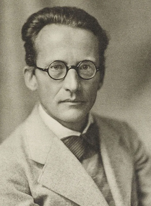 <p>Erwin Schrodinger</p>