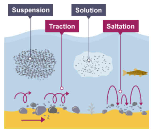 <ul><li><p>Traction</p></li><li><p>Saltation</p></li><li><p>Suspension</p></li><li><p>Solution</p></li></ul>
