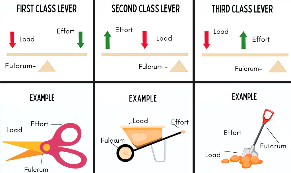 <ol><li><p>First class - EFL - Effort, Fulcrum, Load - See-saw, Boom gate</p></li><li><p>Second class - ELF - Effort, Load, Fulcrum - Wheelbarrow, Nail clipper</p></li><li><p>Third class - FEL - Fulcrum, Effort, Load - Fishing rod, Baseball bat</p></li></ol><p></p>