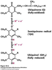 <ul><li><p>Biologically active quinone (electron acceptor in photosynthesis and aerobic respiration)</p></li><li><p>Reduced to ubiquinol upon the acceptance of electrons.</p></li><li><p>Long alkyl chain = lipid soluble = act as an electron carrier within the phospholipid bilayer.</p></li></ul>