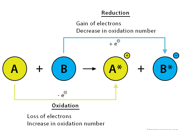 <p>Reactions involving electron transfers. If a molecule gains electrons we say it is reduced. If a molecule loses electrons we say it is oxidized.</p><p>Even if bonds are made ____ reactions can still happen due to some parts of a molecule being more electronegative and hogging more electrons and thus being reduced.</p><p>For instance 2H2 + O2 → 2H2O is an example of a ____ ____ because the oxygen atoms are more electronegative and will hog the electrons generally more. (recall h2o is polar).</p><p>As a general rule of thumb for organic molecules. If an H atom is gained or an O is lost the molecule becomes reduced.</p><p>Inversely if an H atom is lost or O is gained the molecule becomes oxidized.</p>