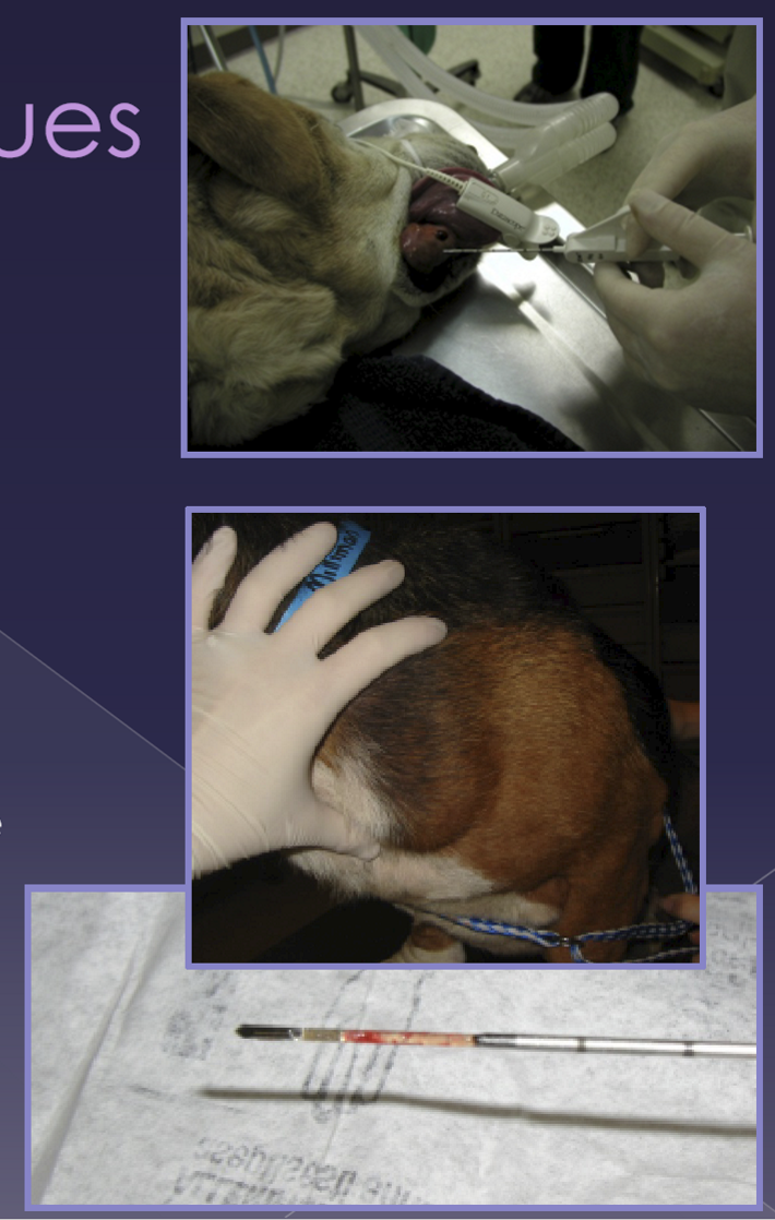 <ul><li><p>septic technique </p></li><li><p>large bore (14-16g) </p></li><li><p>indication </p><ul><li><p>larger node </p></li><li><p>safe location </p></li></ul></li><li><p>core of tissue </p><ul><li><p>fairly small sample size </p></li></ul></li><li><p>easy / quick </p></li><li><p>expensive </p></li></ul><p></p>