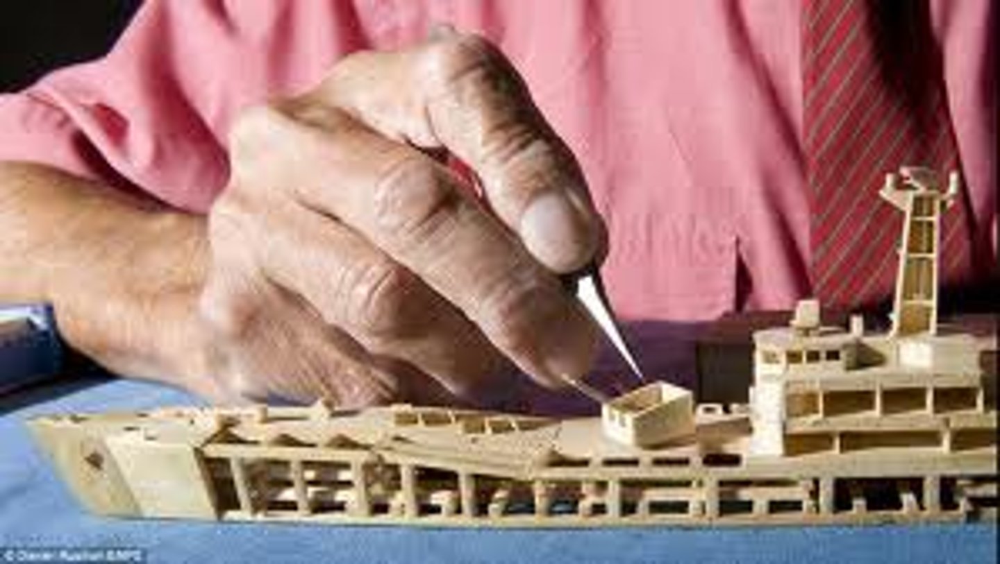 <p>Careful and meticulous (thorough, diligent)</p>