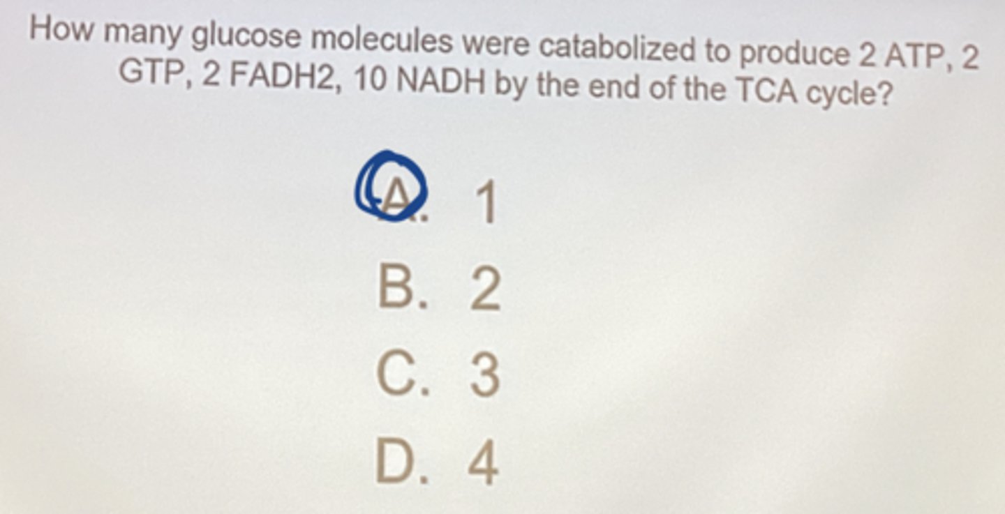 <p>1</p>