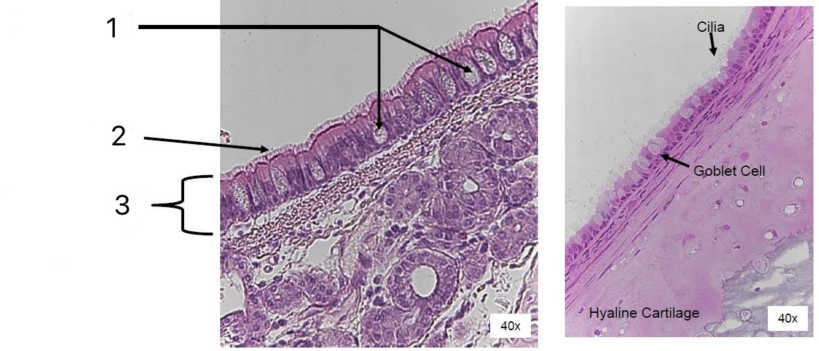 <p>Label all parts</p>