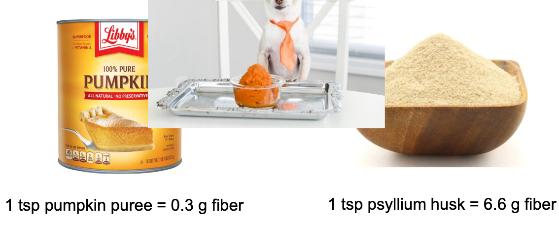 <p>False. 1 tsp of pumpkin puree is only <u>0.3 g of fiber</u>, 1 tsp of <u>psyllium husk is 6.6g of fiber! </u></p>