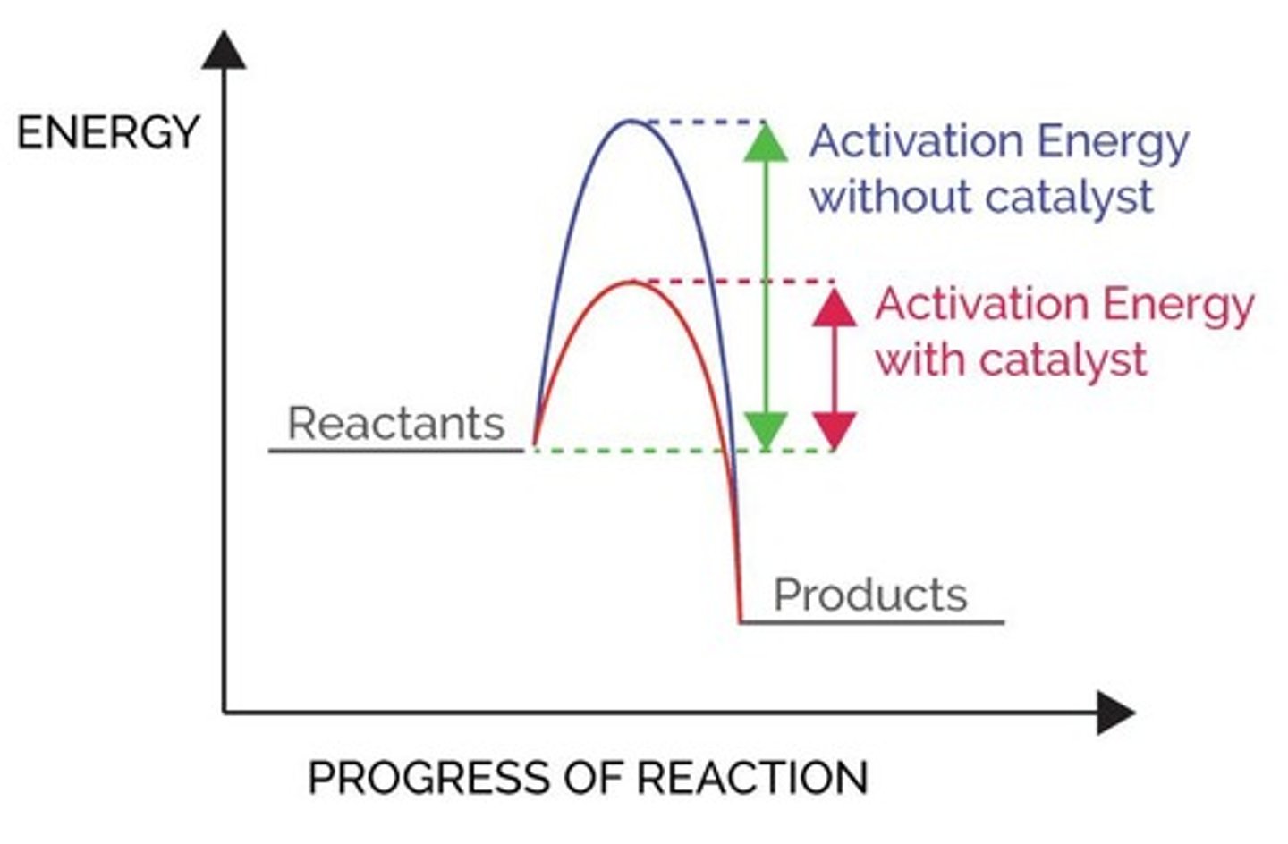 <p>Increase the rate of reaction by providing a different pathway for the reaction that has a lower activation energy.</p>