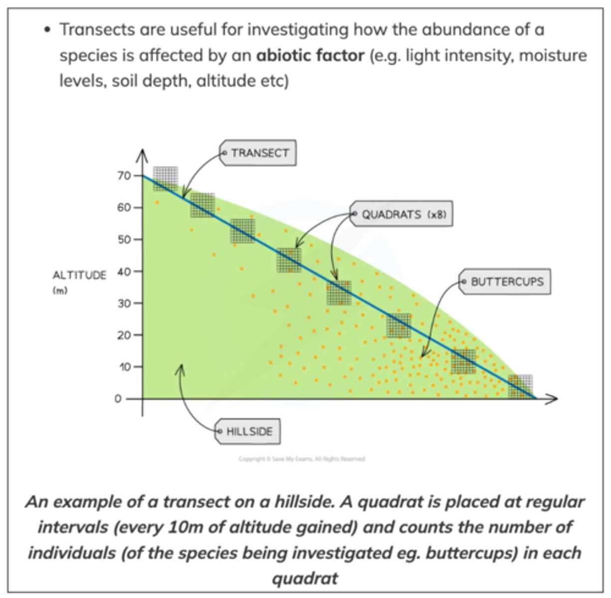 <p>Uneven distribution (systematic sampling), used to look at <strong>changes in distribution</strong>, e.g.: sandy / rocky shores, across a path or river.</p>