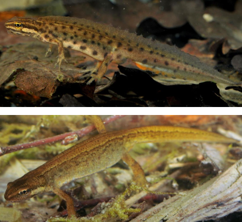 <p>Tieflagen Ganze CH</p>