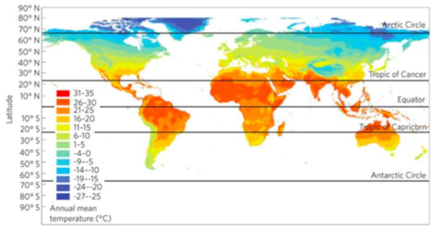 <p>decrease from the equator to the poles, while seasonal variation in temperature increases</p><p>- this reflects the systematic latitudinal pattern of change in environmental conditions as a direct result of seasonal variation and solar radiation influx</p>