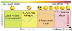 <p>Alarm Stage</p>