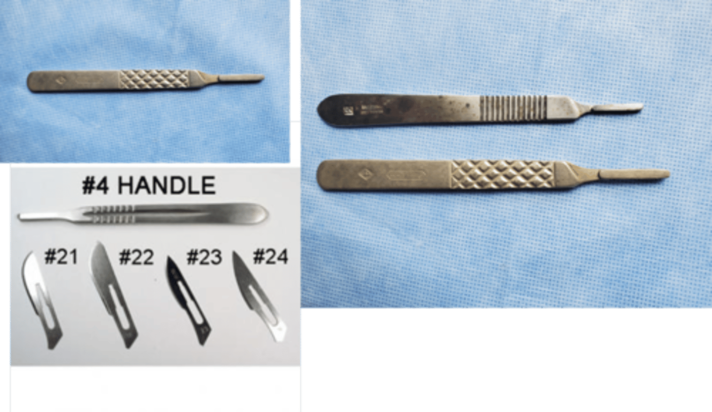 <p>blade sizes which fit this handle 21,22,23,24. usually used in large animal surgery</p>