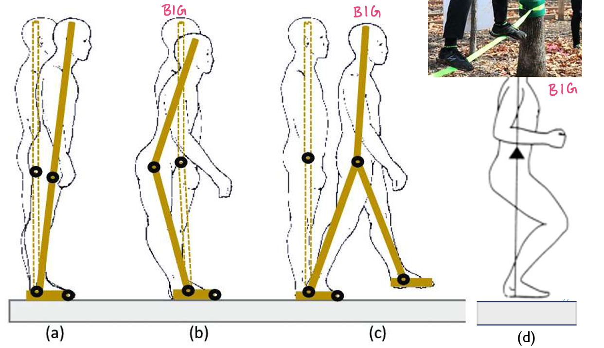 <p>Balance strategies</p><p></p>