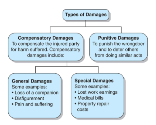 <p>Types of Damages</p>