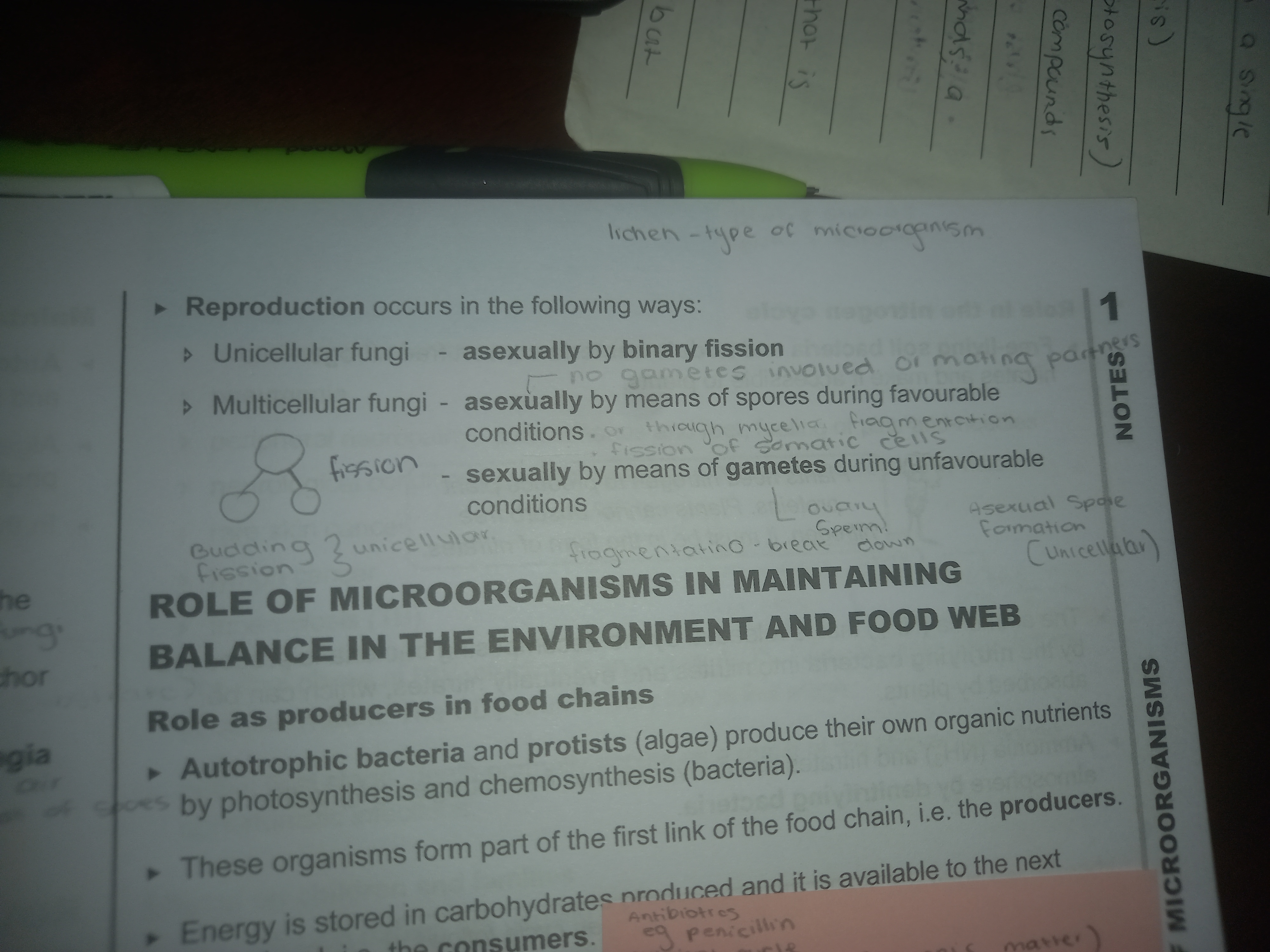 <p>What are fungi (mould)?</p>