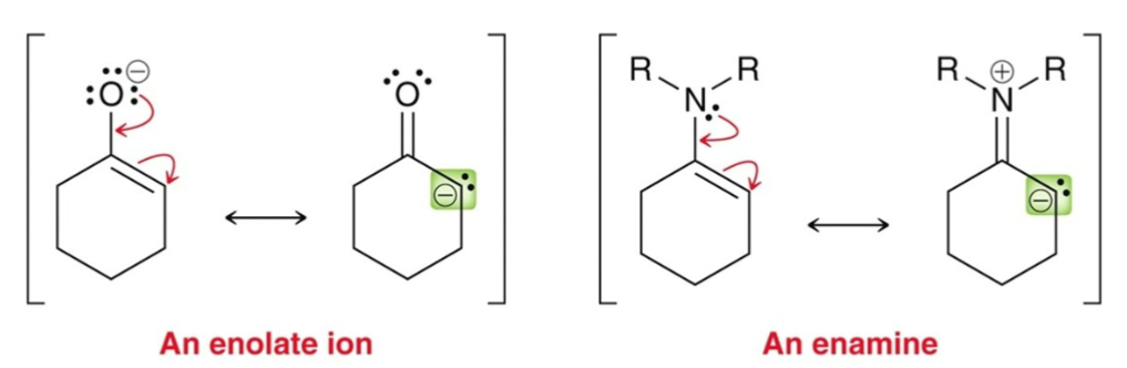 <p>enolates (nucleophilic); enamine is less nucleophilic and is Michael donor.</p>