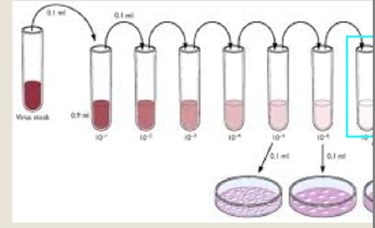 <p>A reduction of concentration by dilution the original substance with diluent in a certain ration. A 1:10 dilution is 1 part of the original and 9 parts diluent.</p>
