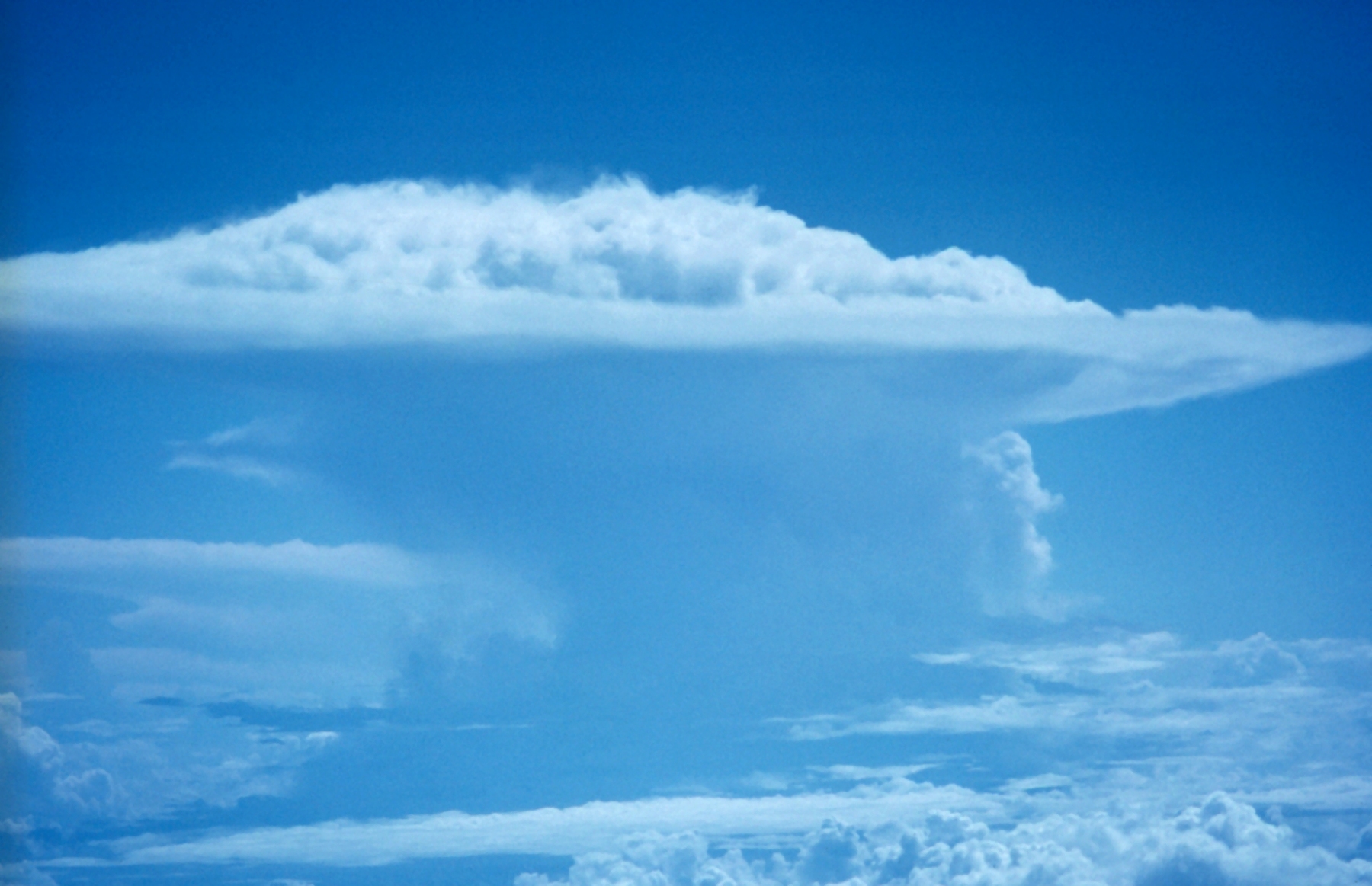 <p>cumulonimbus</p>