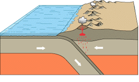 <p>Why does the oceanic plate subduction instead of the continental plate</p>