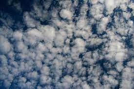 <p>Altocumulus</p>