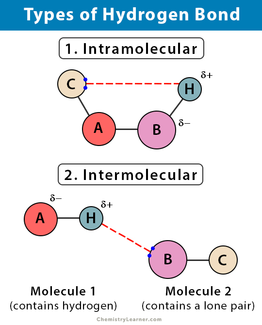 <p>They are a strong dipole-dipole interaction that occurs when hydrogen is attached to highly electronegative nitrogen, oxygen, or fluorine atoms</p>