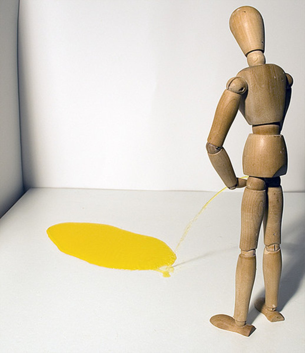 <p>urine, urination</p>