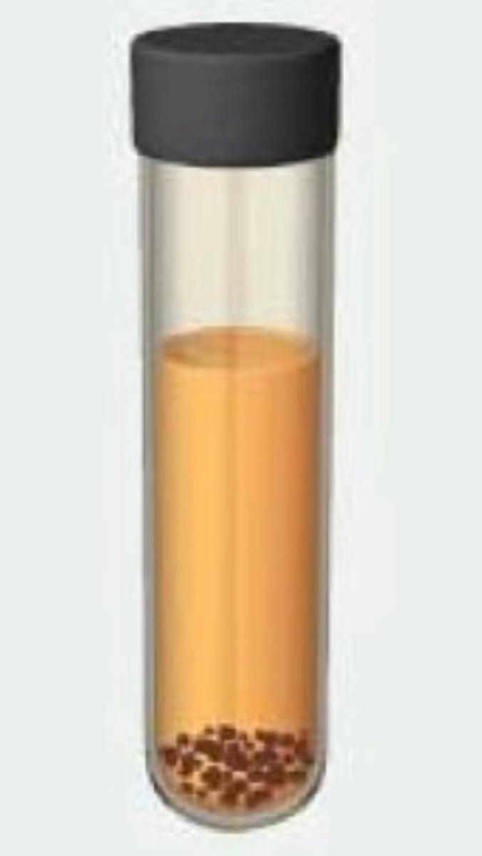 <p>name what kind of microbe in the test tube and describe the growth pattern</p>