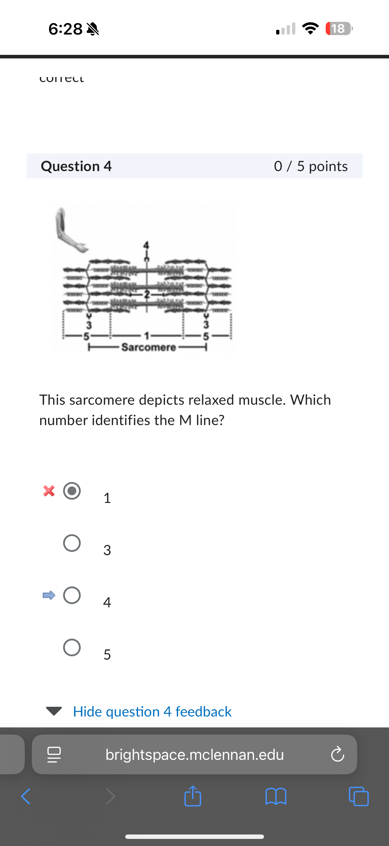 <p>4 </p>