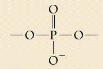 <p>what functional group or linkage is this?</p>