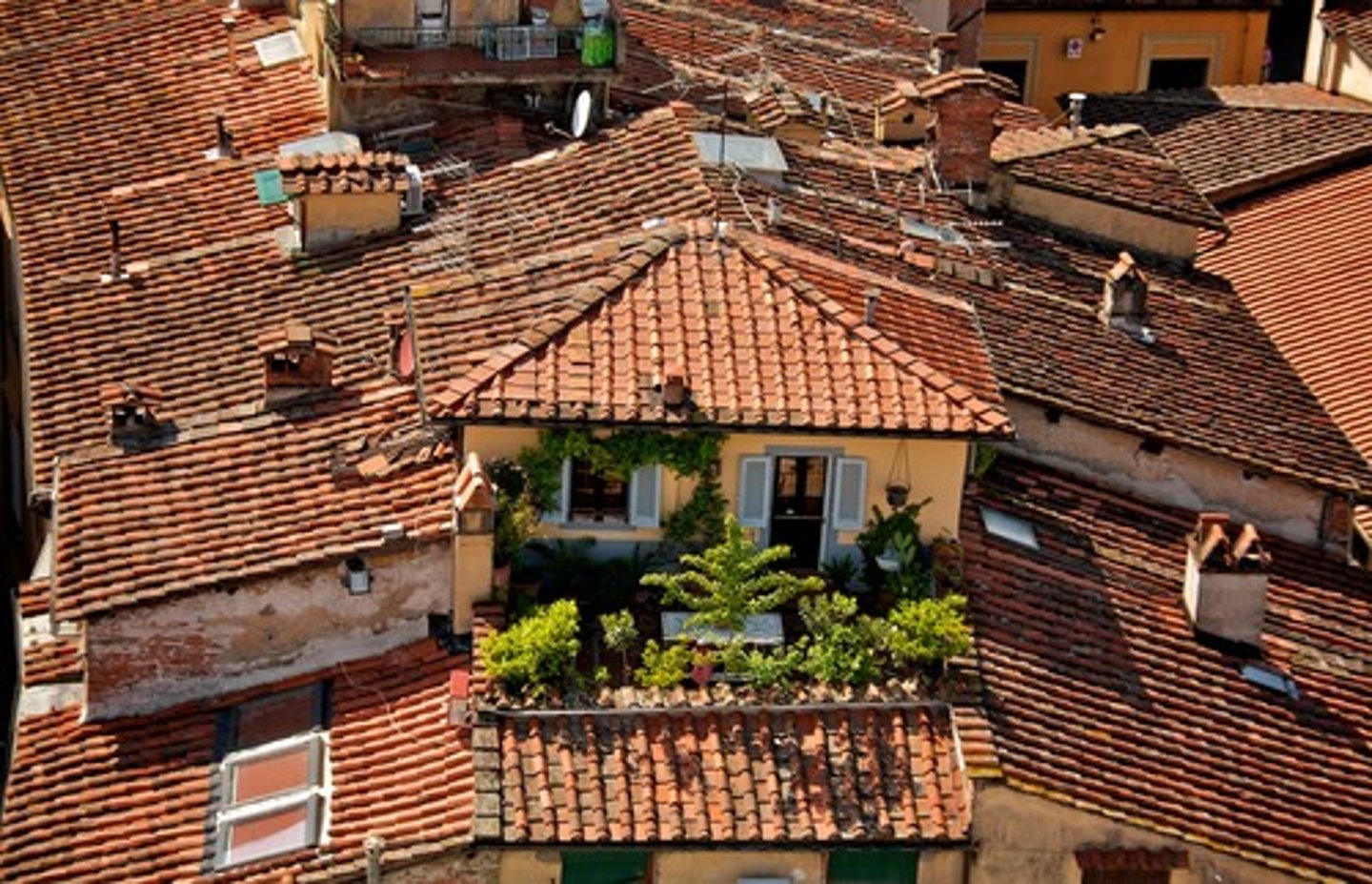 <p>vườn xây trên mái nhà</p>