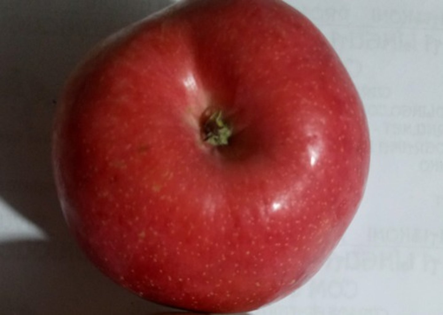 <p>KIAN POMON ŜATAS VI? MI ŜATAS RUĜAN POMON.</p>