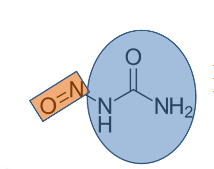 <p>What type of functional group is this? Is it lipophilic or hydrophilic?</p>