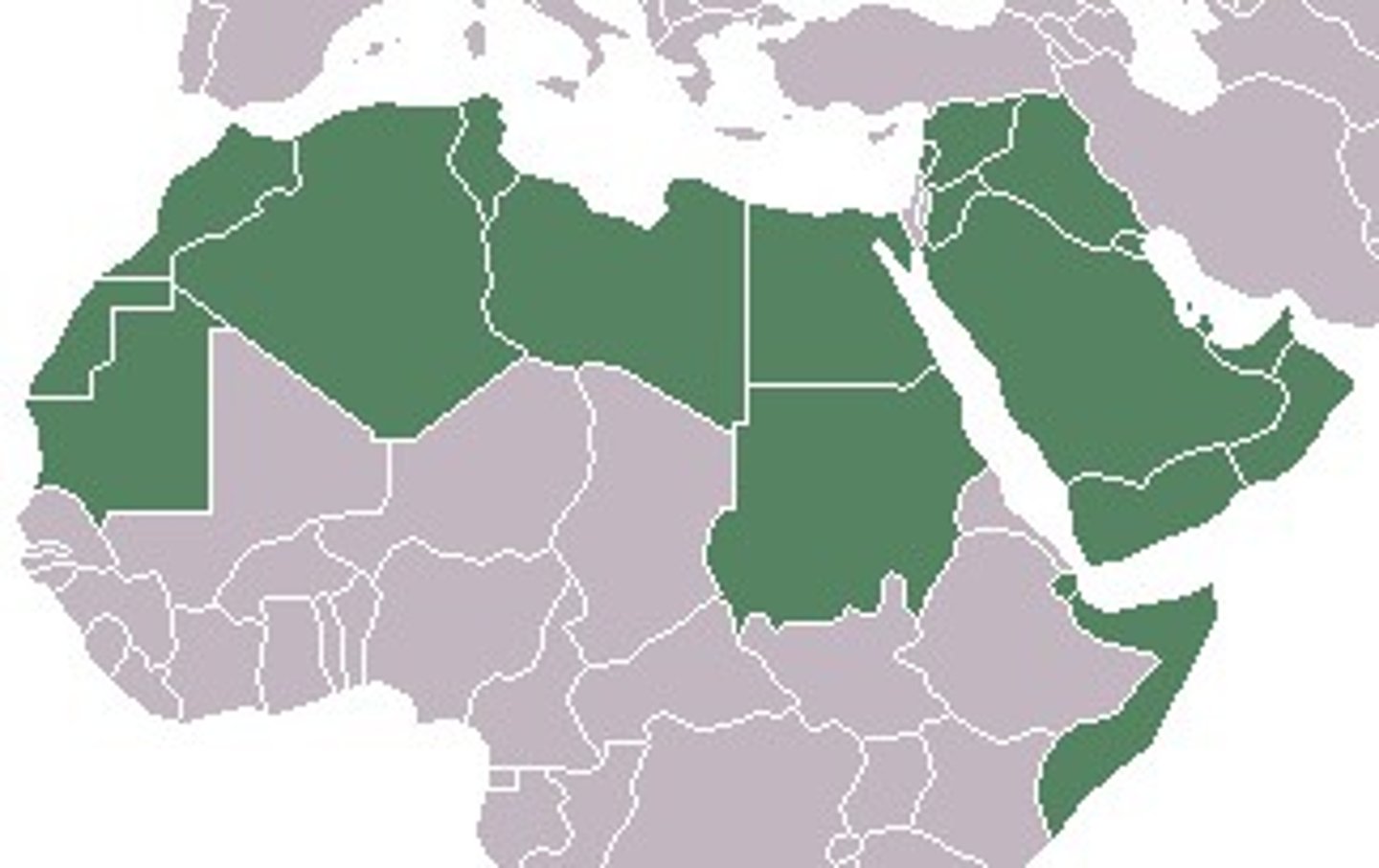 <p>ethno-linguistic group whose first language is Arabic. Lives throughout North Africa and the Middle East</p>