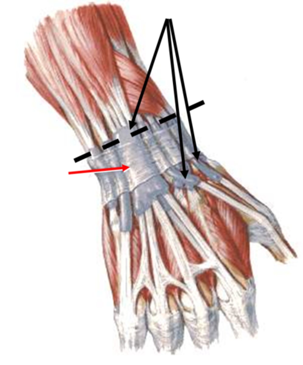 <p>What is this?</p>