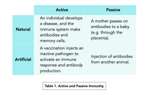 <p>how do individuals develop immunity</p>