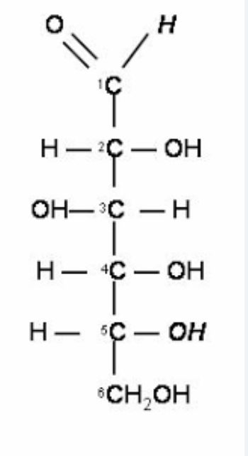<p>what is the name of this structure? </p>