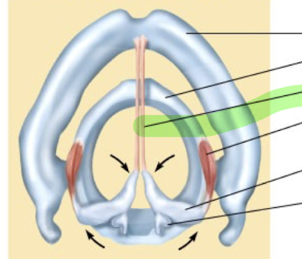 <p>What is this structure?</p>