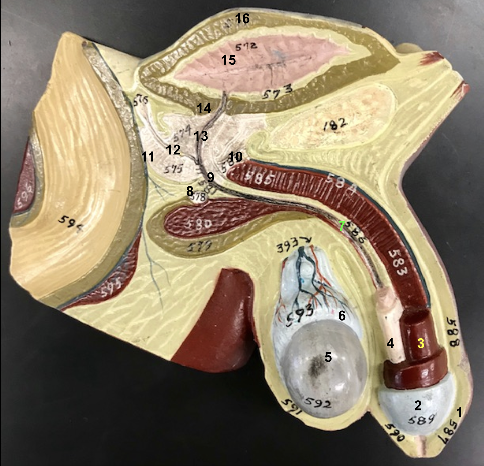 <p>What is number 15?</p>