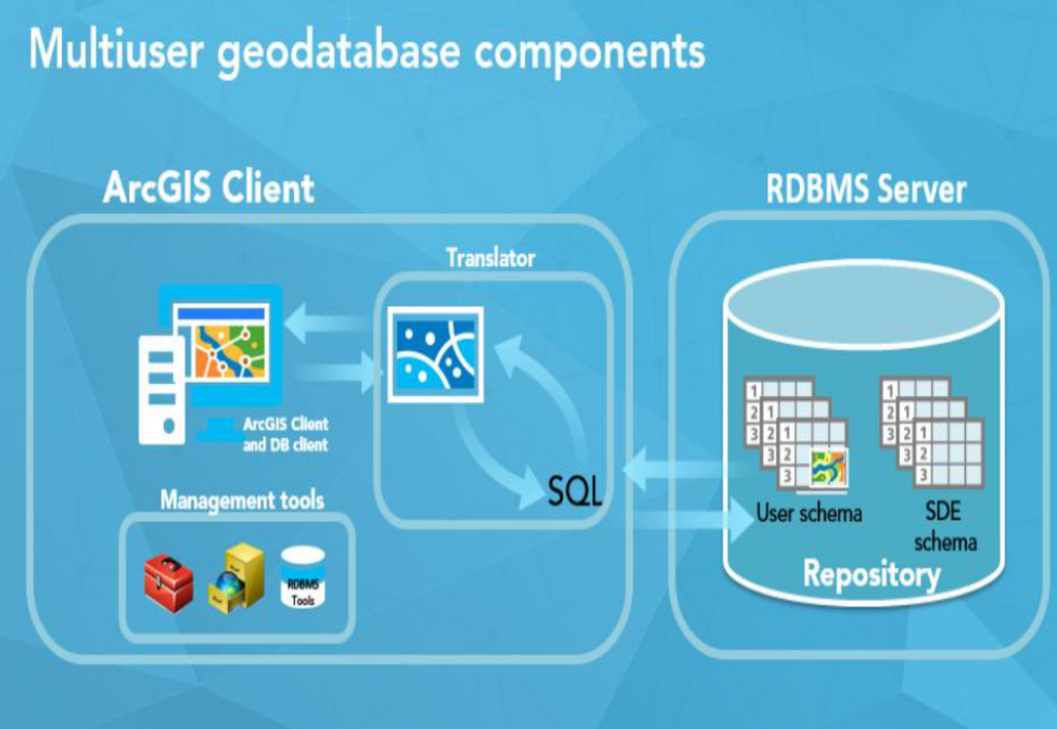 <ul><li><p>Client = ArcGIS Pro, ArcGIS Server, RDBMS Client</p></li><li><p>ArcSDE/Enterprise Geodatabase Repository = User data, gdb tables</p></li><li><p>Management tools = Geoprocessing tools</p></li><li><p>Translator = Translates map into SQL</p></li></ul><p></p>