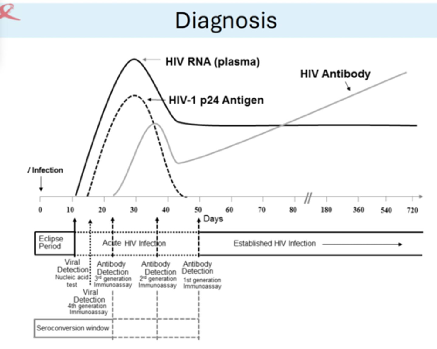 <p>10 day period after exposure cannot be tested.</p><p>earliest: RNA test</p><p>45 days: western blot for presence of antibodies.</p><p>antigen/antibody tests most sensitive!</p>