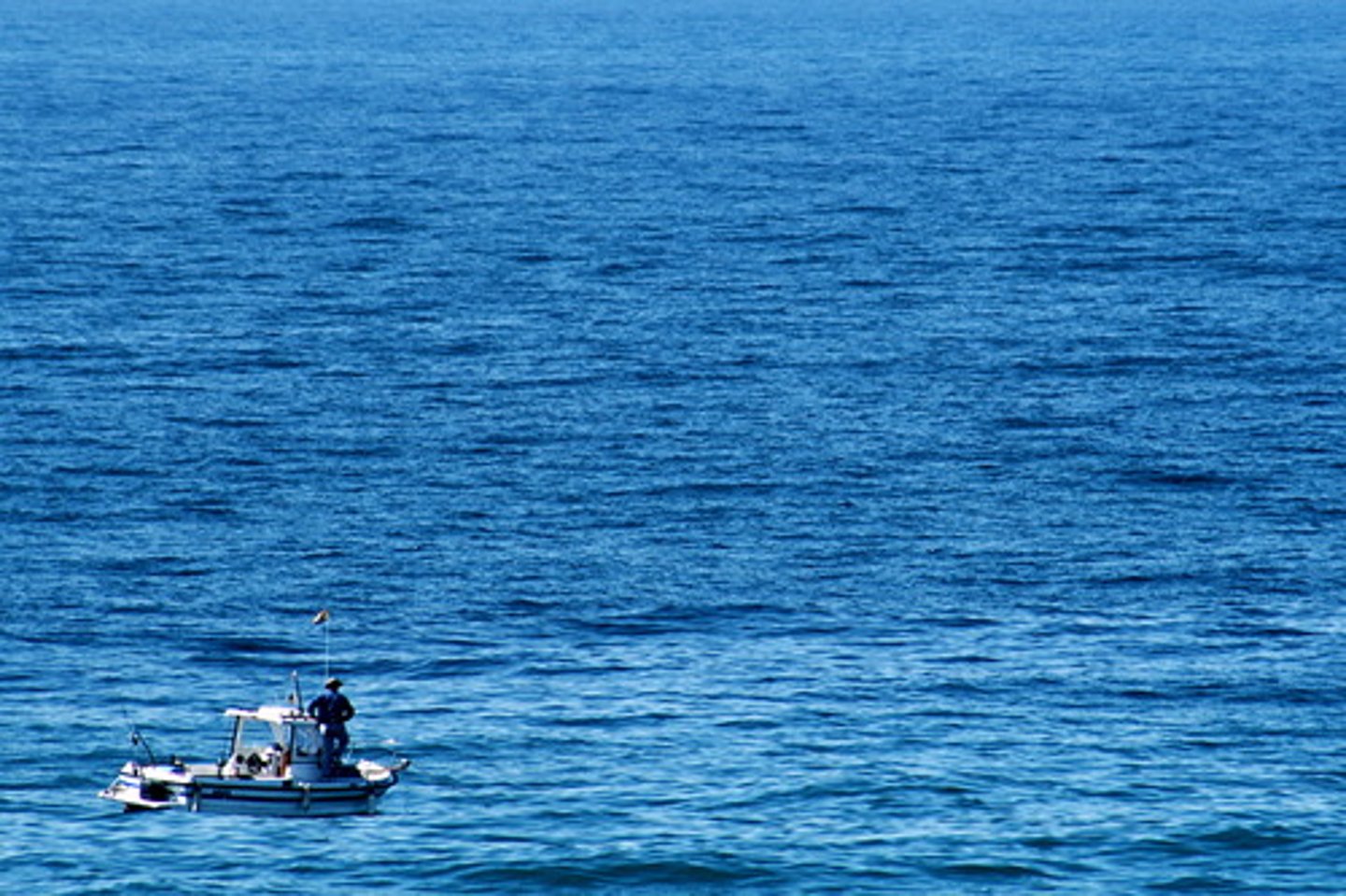 <p>ocean</p>