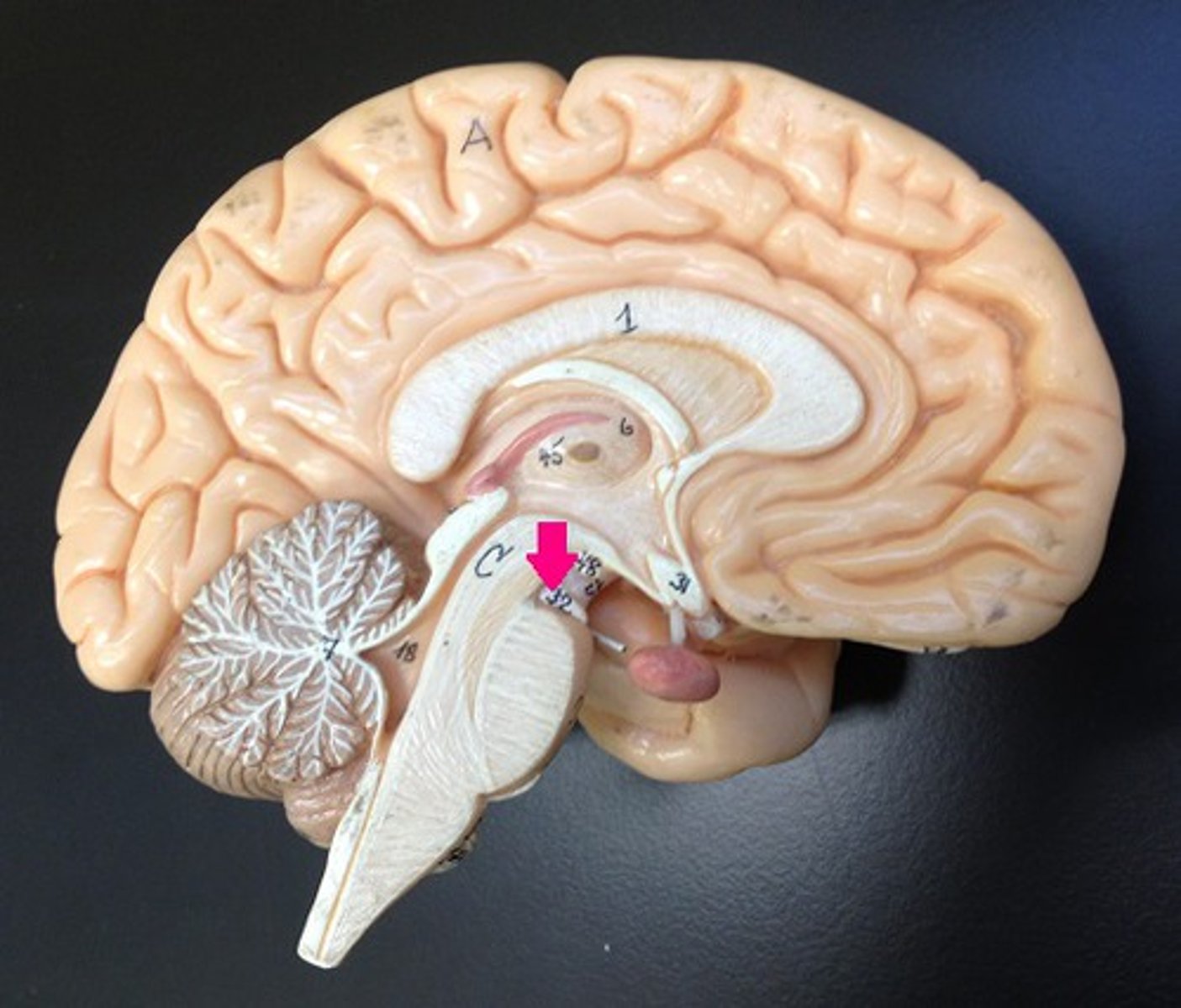 <p>Identify by name.</p>