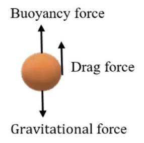 <p>particles are discrete and do not interfere with one another</p>