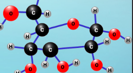 <p>How do carbohydrates like glucose store energy?</p>