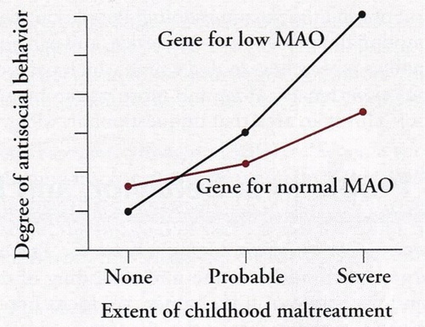 <p>High sensation seekers have low levels of MAO, which produces a need for stimulation.</p>