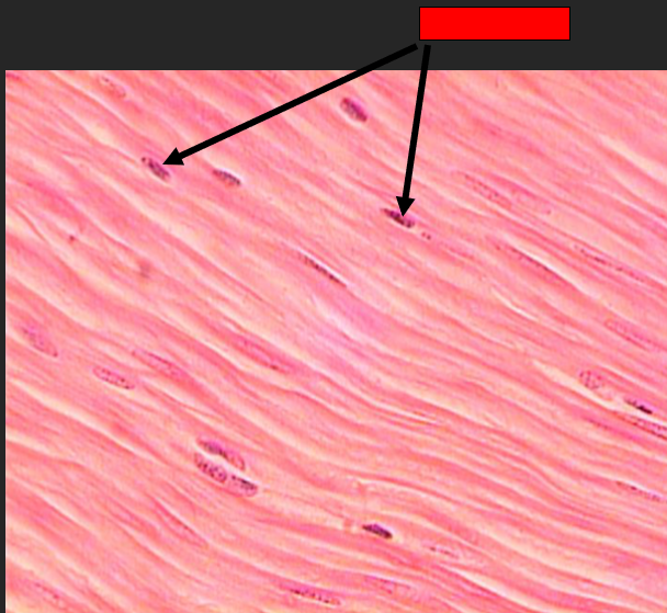 <p>What do the arrows pointing from the red box indicate?</p>