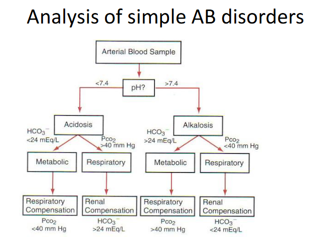 <p>DIAGRAM ON SLIDE 31</p>