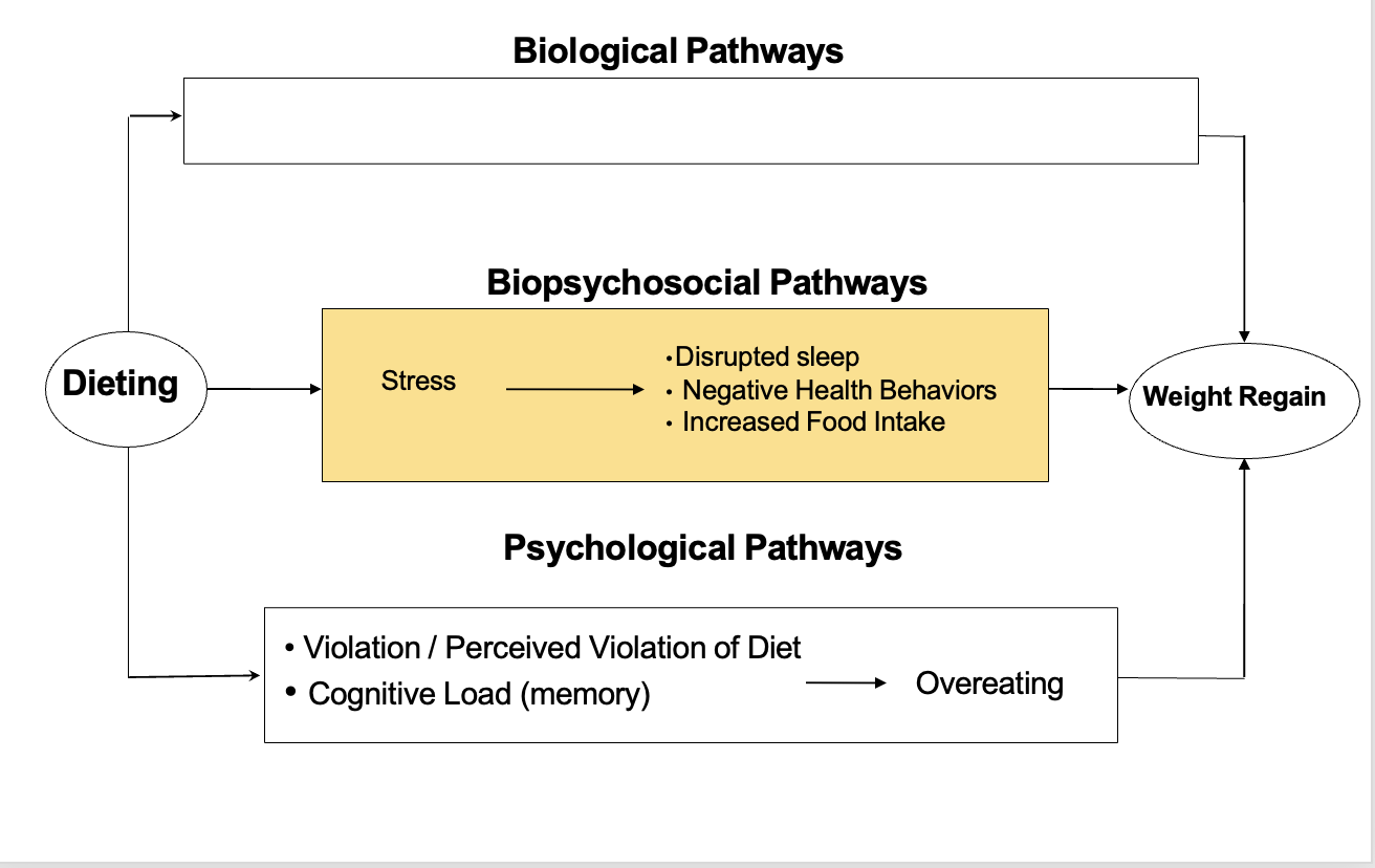 <p><span>Dieting is costly (thousands of dollars)</span></p><p style="text-align: left"></p><p style="text-align: left"></p><p style="text-align: left"><span>Psychological pathways: on diet, diet scheme can be violated (milkshake diet scheme) can lead to overeating</span></p>